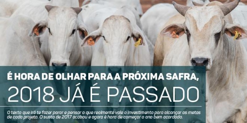 Carta Gestor - É hora de olhar para a próxima safra, 2018 já é passado