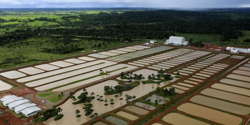 Crescimento da piscicultura está sendo trabalhado no Sudeste do Tocantins