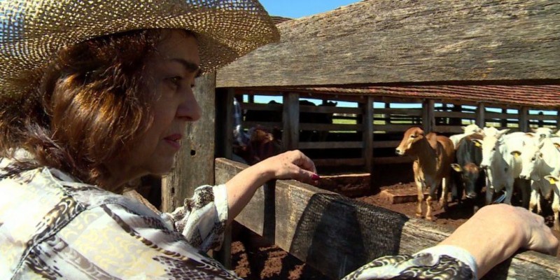 Mulheres ganham mais espaço na pecuária brasileira