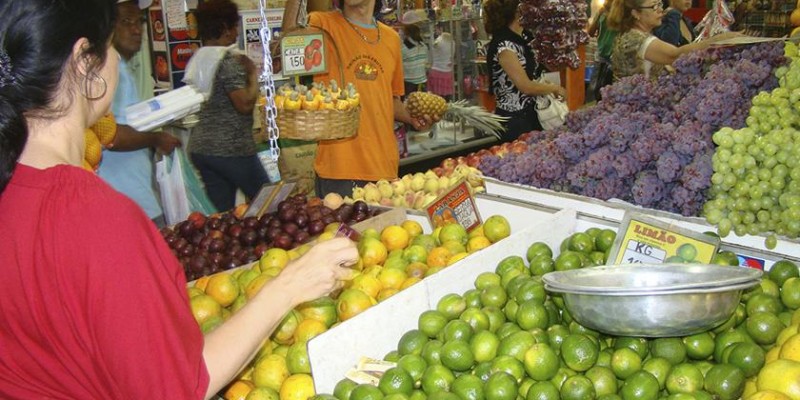 Epamig disponibiliza circular técnica sobre influência de fatores ambientais em doenças de plantas 