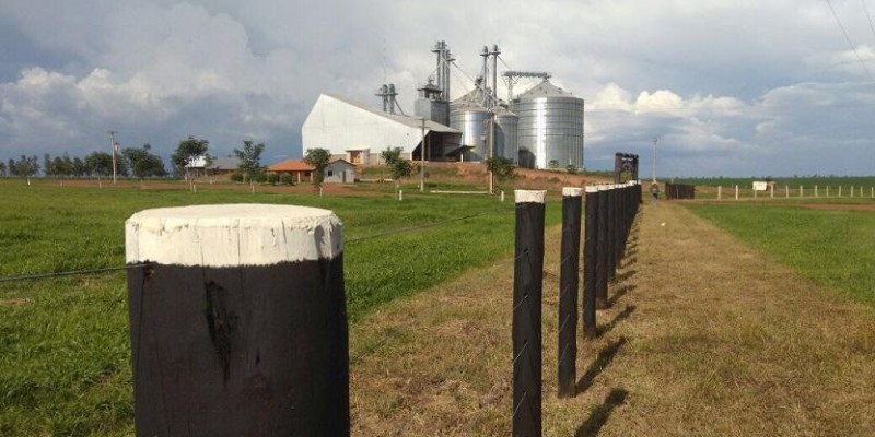 Fazenda conta com ajuda da ILP para facilitar adaptação do gado ao confinamento