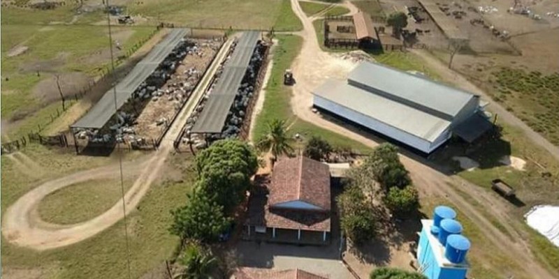 CONHEÇA O CASO DE SUCESSO DA FAZENDA DO MT QUE PRODUZ 118 ARROBAS POR HECTARE AO ANO