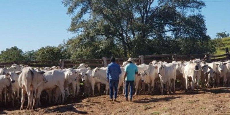 Diálogo foi essencial para o processo de sucessão de fazenda no MS