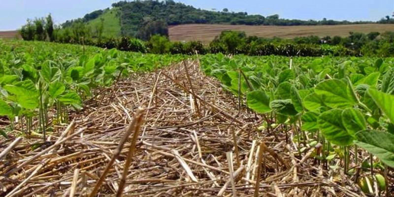 Conservação do solo ganha destaque como solução para mudança climática (na REUTERS)