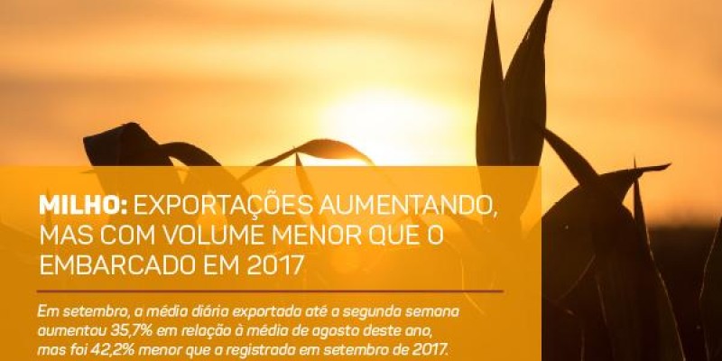 Milho: exportações aumentando, mas com volume menor que o embarcado em 2017