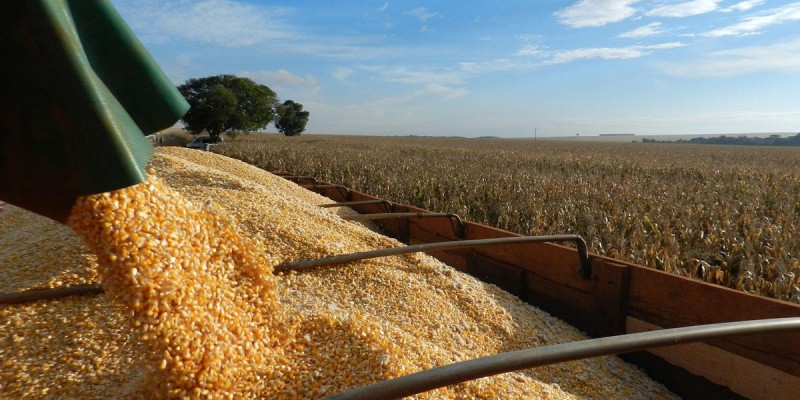 Brasil poderá colher até 238 milhões de toneladas de grãos na safra 2018/19