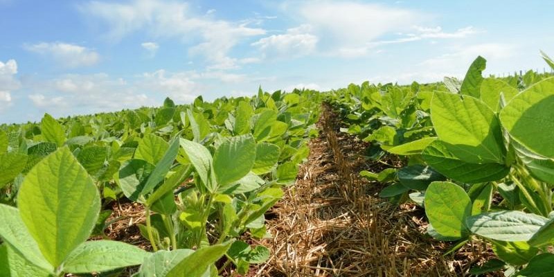 Pronto para aumentar (ainda mais) a produtividade