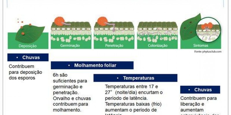 O clima e a evolução da ferrugem da soja