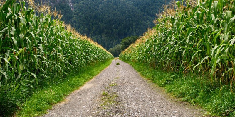 Tecnologia concentra em um único grânulo de fertilizante pelo menos 8 nutrientes necessários para o desenvolvimento da planta