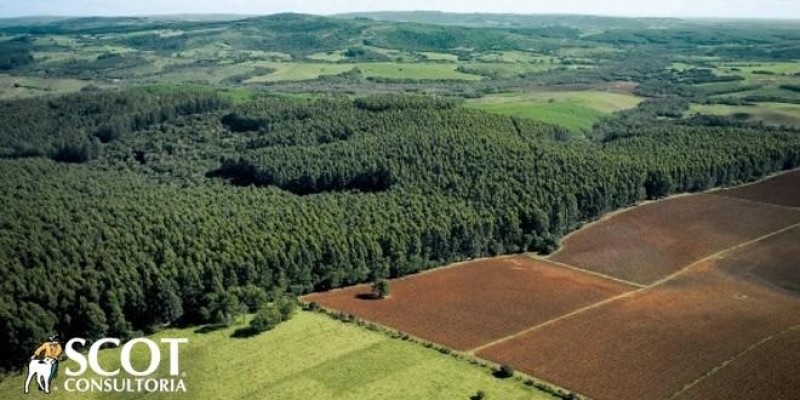 Terras indígenas, terras brasileiras: panorama econômico