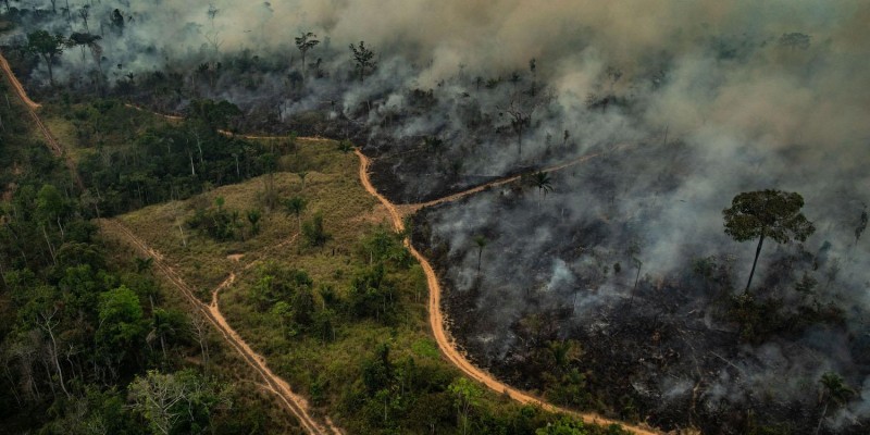 Amazônia: Deputado dos EUA propõe lei para barrar importações brasileiras