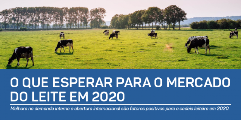 Carta Leite - O que esperar para o mercado do leite em 2020