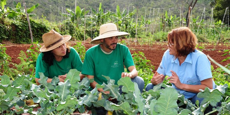 Ministério da Agricultura prorroga prazo de validade da DAP