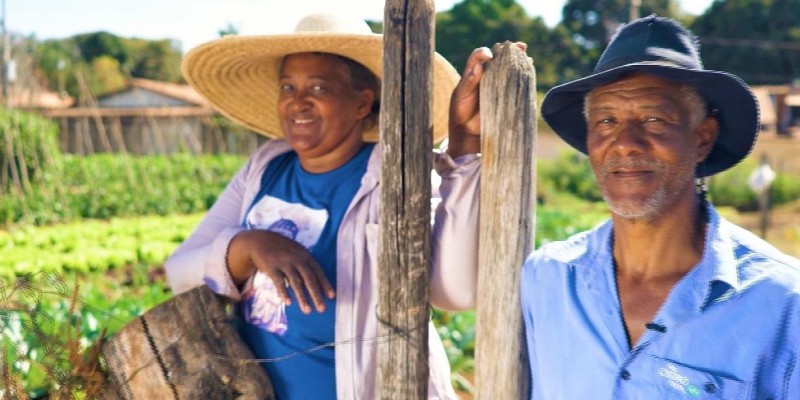 Dia do Produtor Rural Mineiro: Números mostram a importância da agropecuária no estado