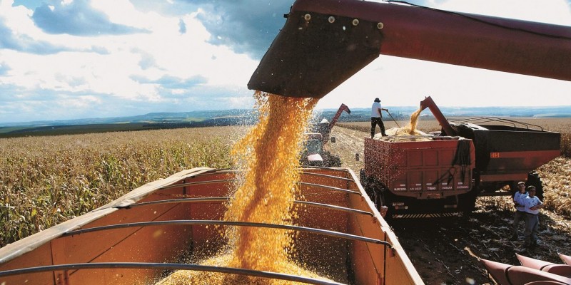 Valor Bruto da Produção agropecuária de Minas Gerais deve alcançar R$ 87 bilhões