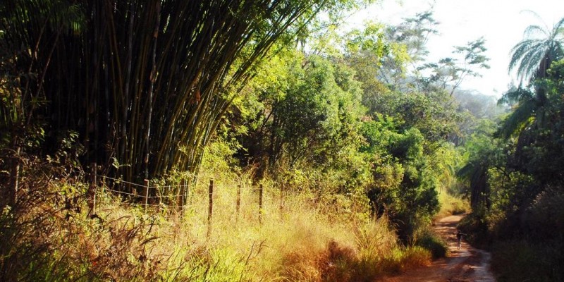 Dia 31 de dezembro é o prazo final de adesão ao Programa de Regularização Ambiental (PRA)