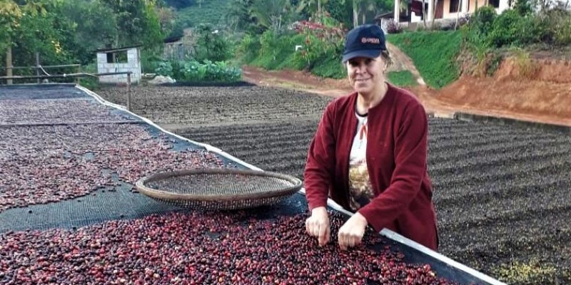 Agricultores familiares investem na produção sustentável de cafés especiais