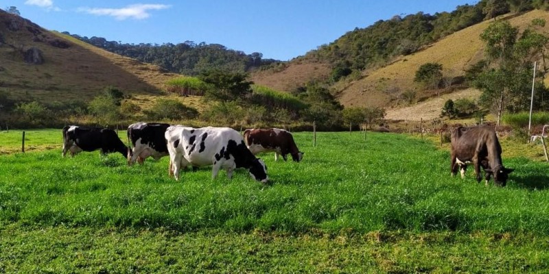 Técnico da Emater-MG cria planilha para calcular áreas de pastejo rotacionado