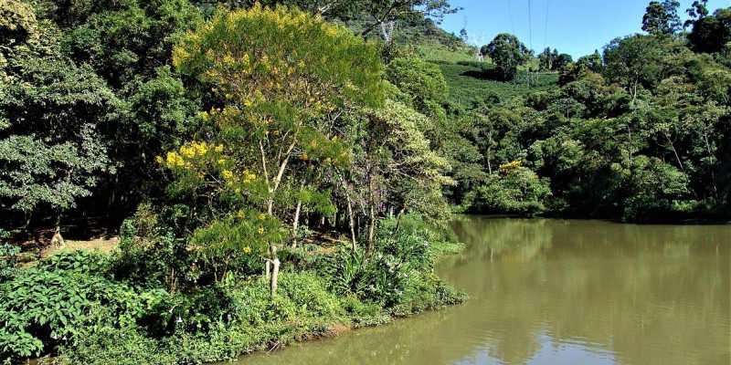 Emater-MG realiza ações de proteção ambiental e preservação da água