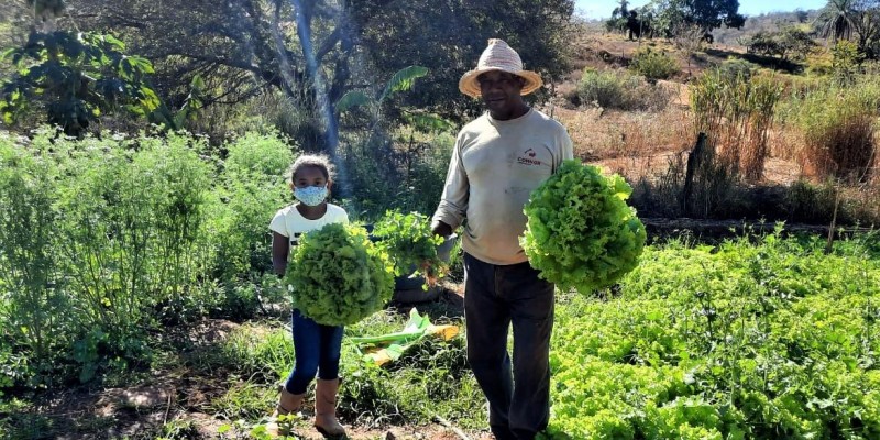 Entrega de kits de irrigação por gotejamento ajuda no uso racional da água em Minas Gerais