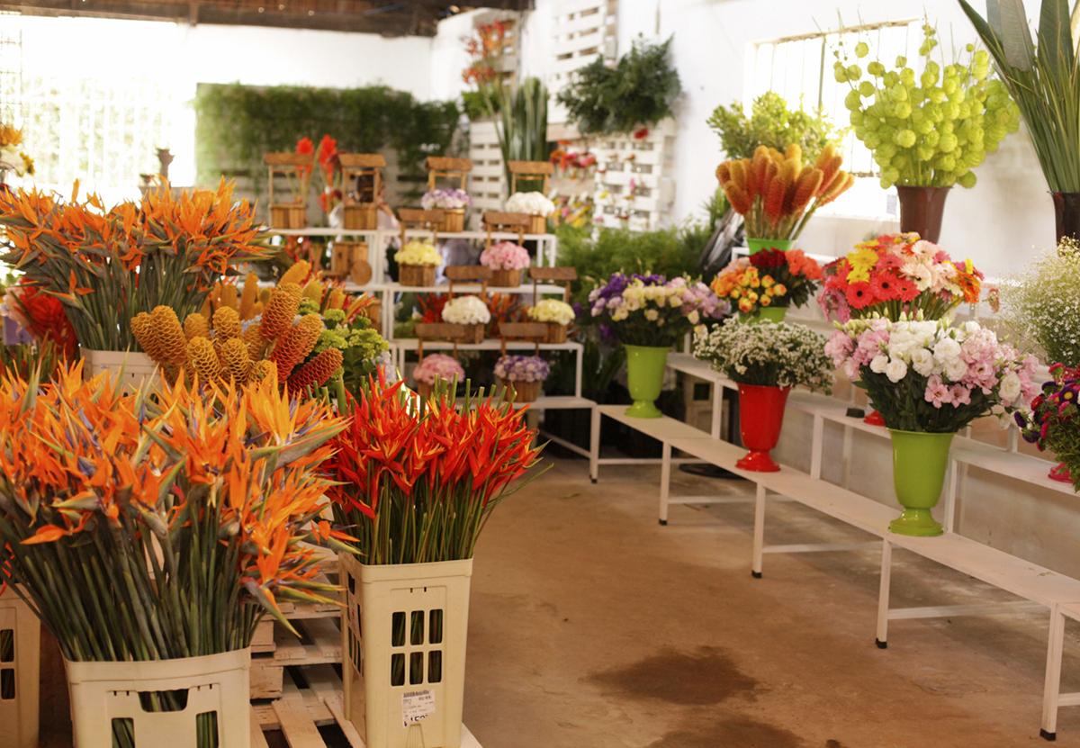 Exposição de Flores e Folhagem traz novidades para o setor