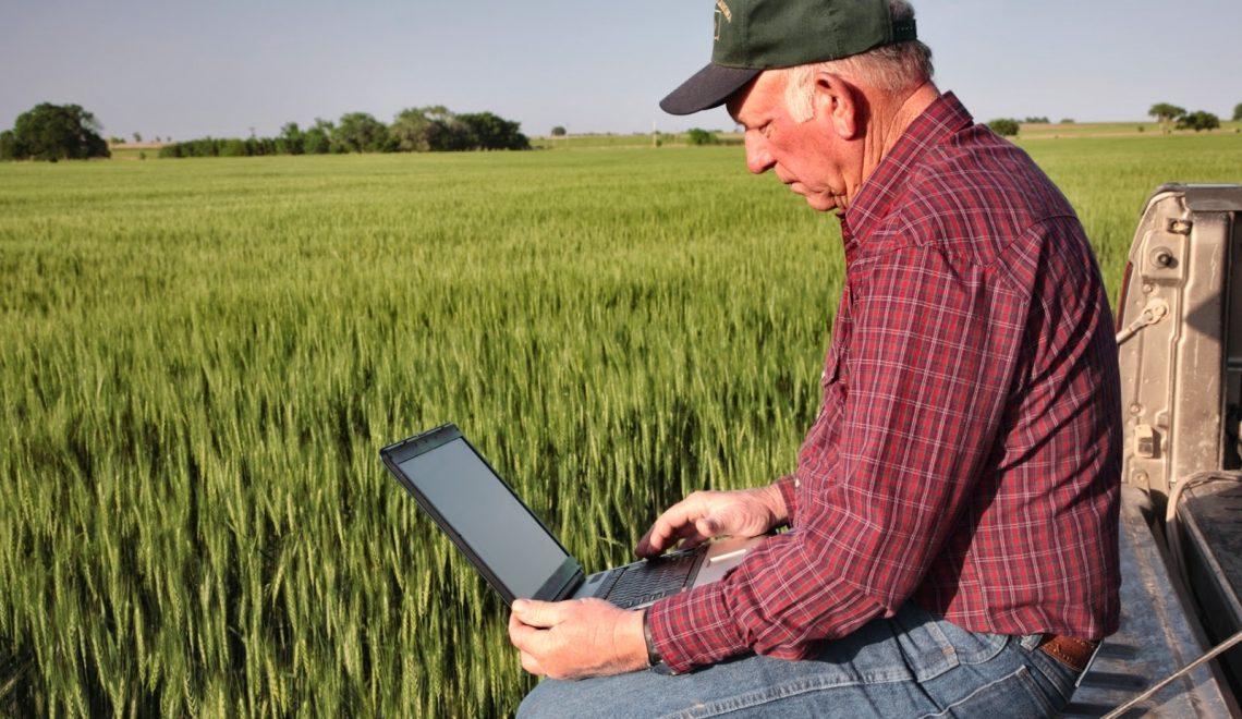 Digitalização deve mudar gestão de negócios do setor agropecuário no país