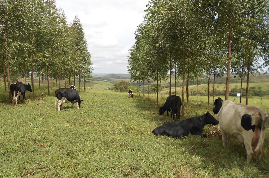 Sistema de Agricultura de Minas Gerais promove reunião com produtores e lideranças no Leste do Estado