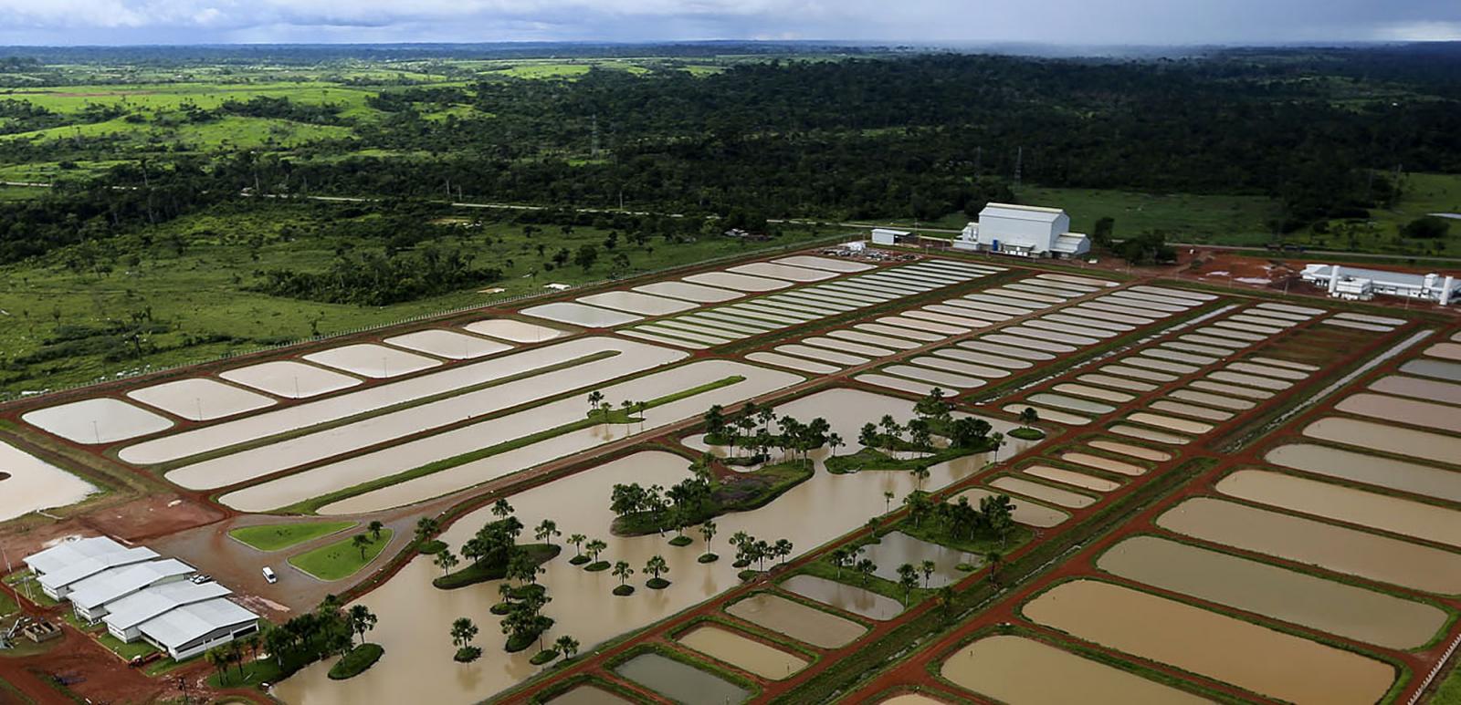 Crescimento da piscicultura está sendo trabalhado no Sudeste do Tocantins