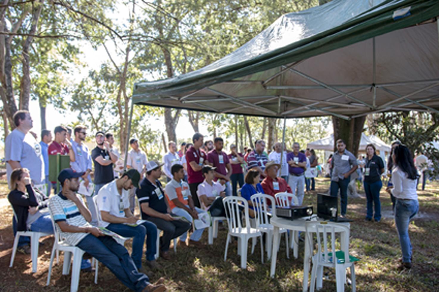 Encontro Tecnológico da Epamig aborda cuidados para a produtividade e qualidade do cafeeiro