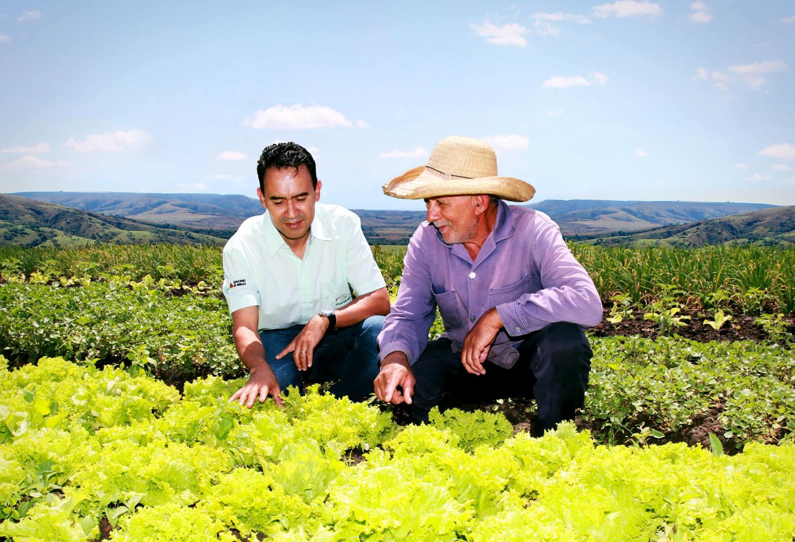 Encontro Técnico discute o futuro da Assistência Técnica e Extensão Rural