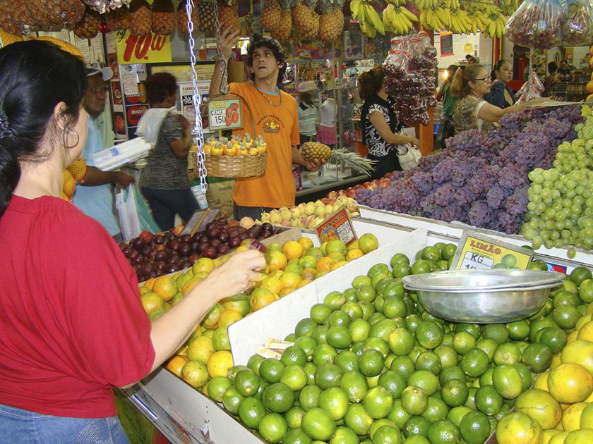 Epamig disponibiliza circular técnica sobre influência de fatores ambientais em doenças de plantas 