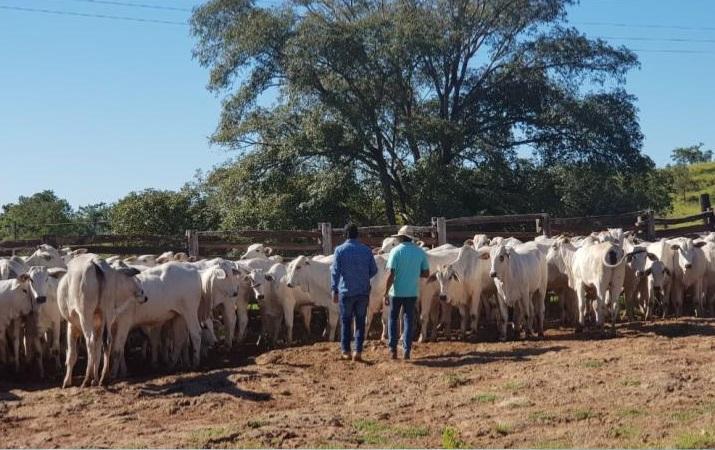 Diálogo foi essencial para o processo de sucessão de fazenda no MS