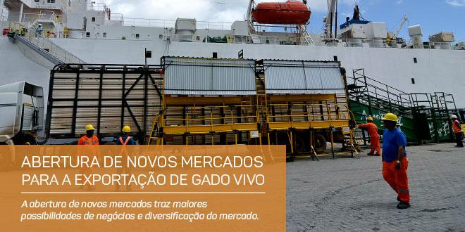 Abertura de novos mercados para a exportação de gado vivo