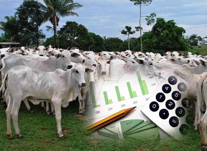 SOFTWARE DA ESALQ/USP PERMITE AO PECUARISTA PREVER CUSTOS E LUCRO ANTES DO INÍCIO DO CONFINAMENTO