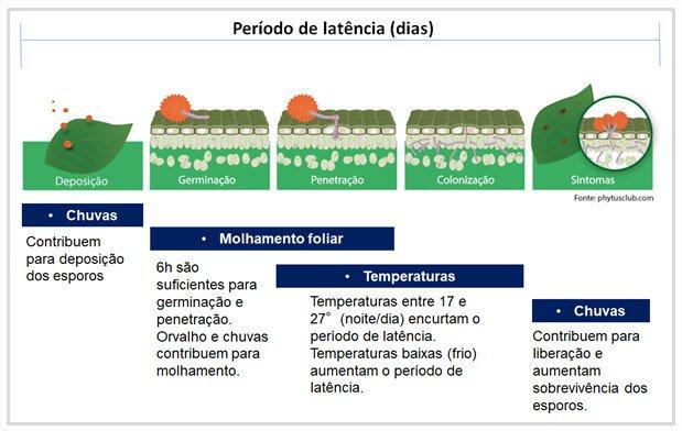 O clima e a evolução da ferrugem da soja