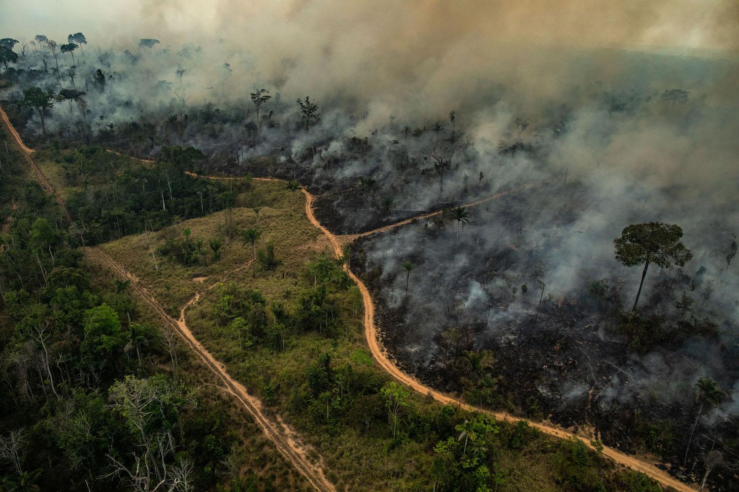 Amazônia: Deputado dos EUA propõe lei para barrar importações brasileiras