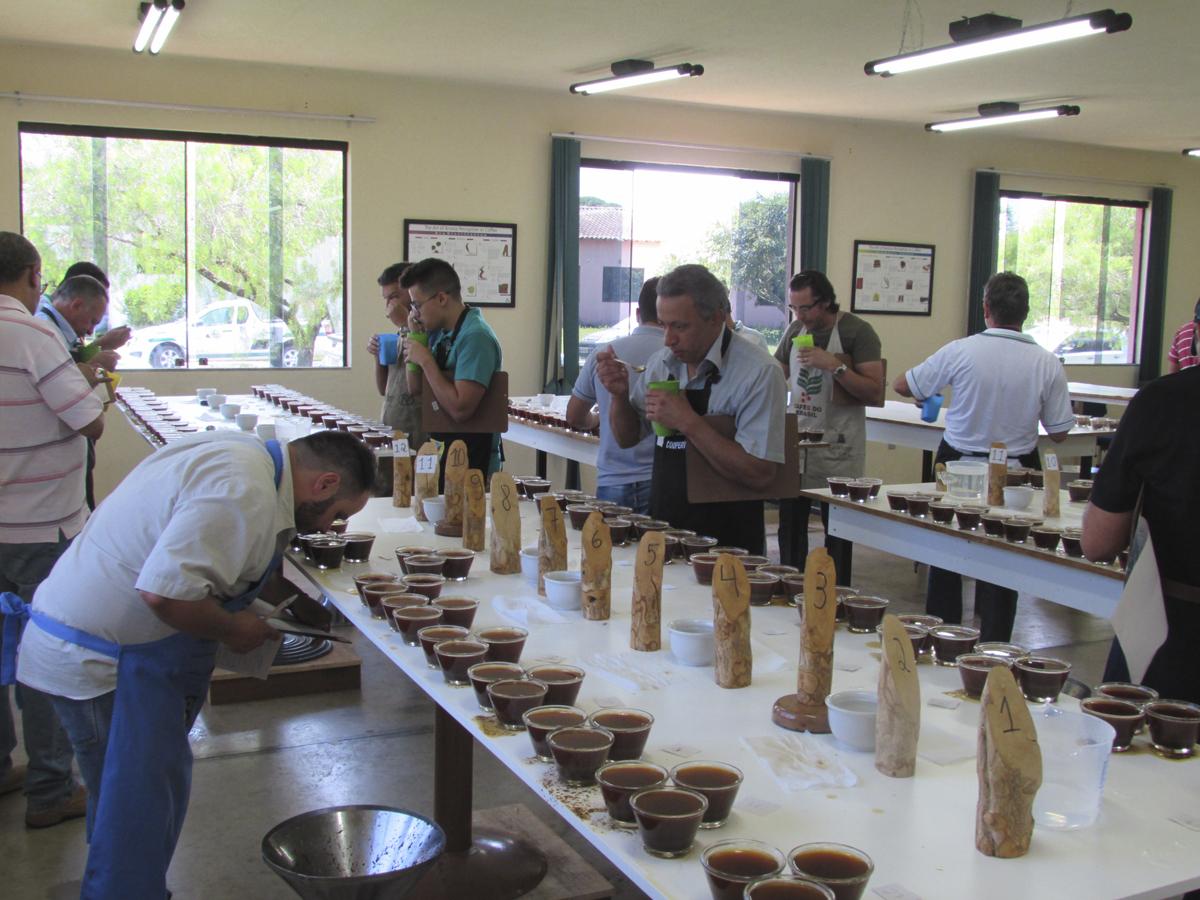 Concurso Estadual de Qualidade dos Cafés apresenta finalistas