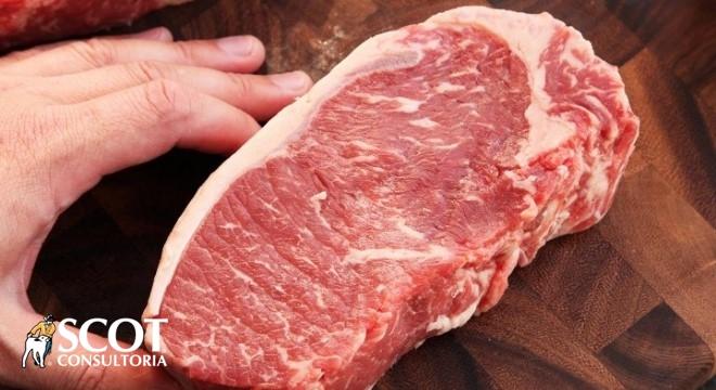 Aumento nas exportações brasileiras de carne bovina em junho