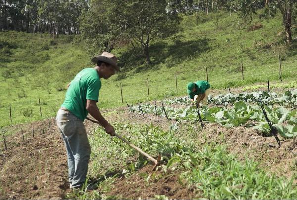 Emater-MG firmam parceria para emissão de DAP aos beneficiados do Programa Nacional de Crédito Fundiário