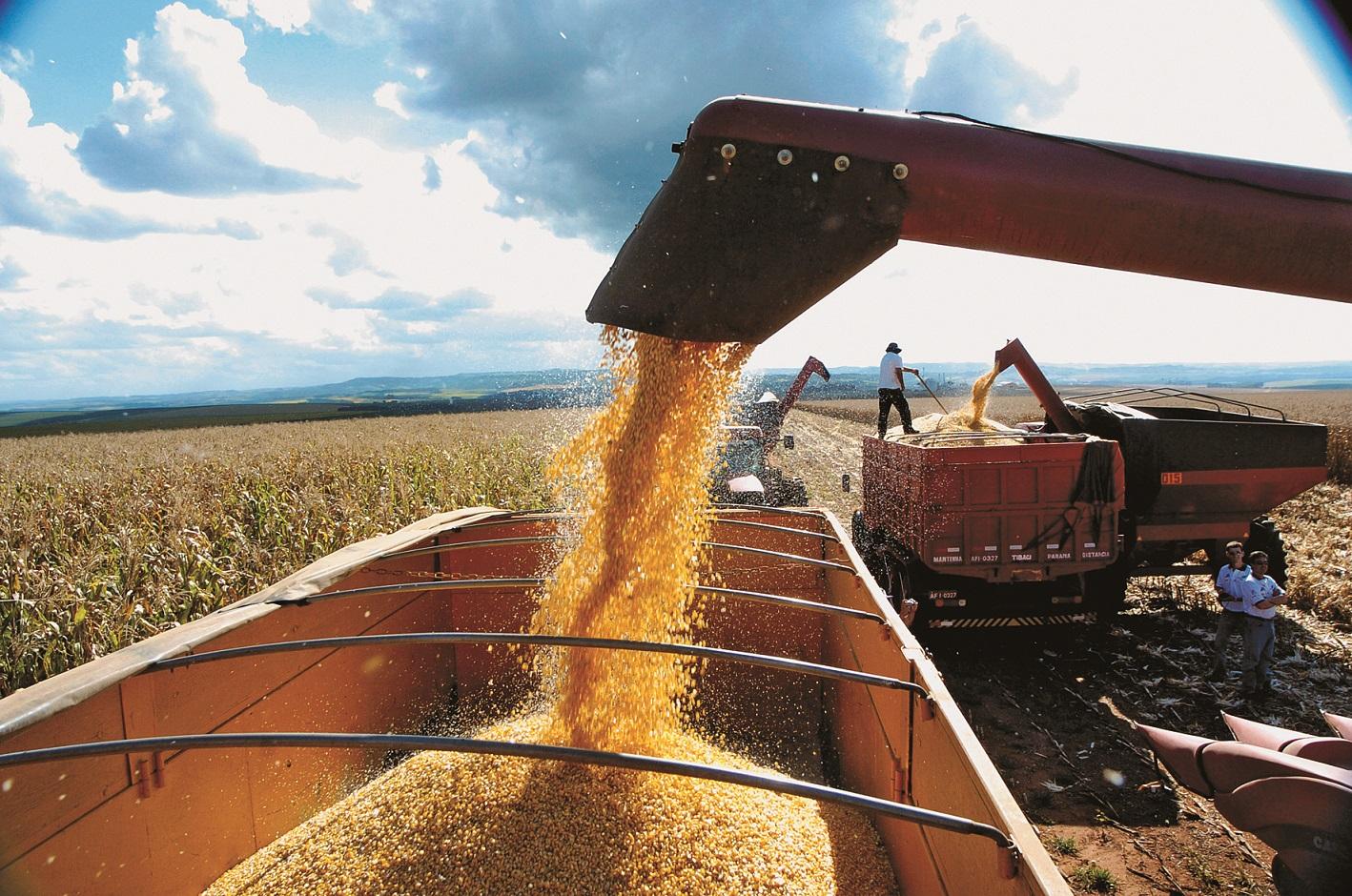 Valor Bruto da Produção agropecuária de Minas Gerais deve alcançar R$ 87 bilhões