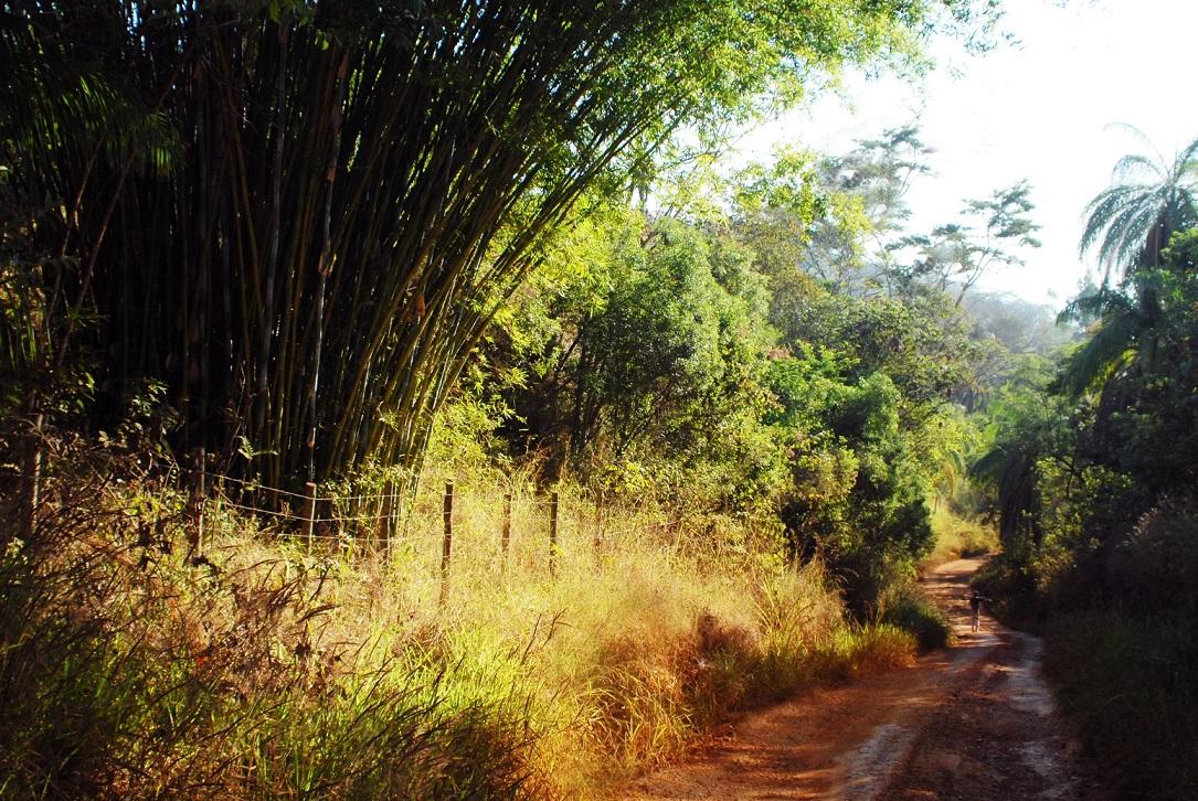 Dia 31 de dezembro é o prazo final de adesão ao Programa de Regularização Ambiental (PRA)