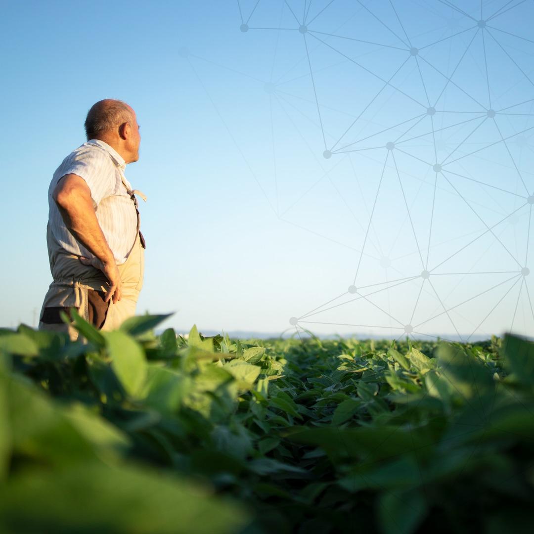 Secretaria de Agricultura apresenta desafios para startups do SEED