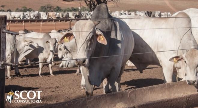 Último dia de negócios em 2020 calmo