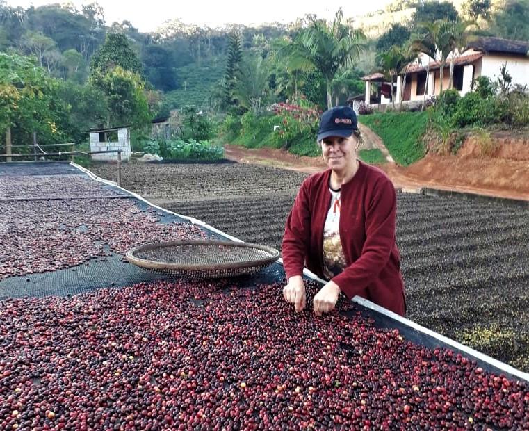 Agricultores familiares investem na produção sustentável de cafés especiais