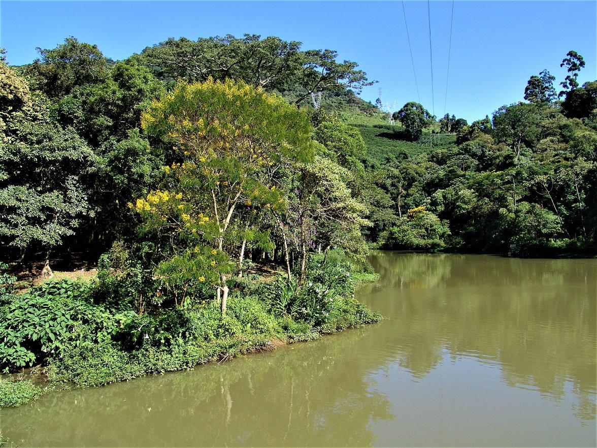 Emater-MG realiza ações de proteção ambiental e preservação da água