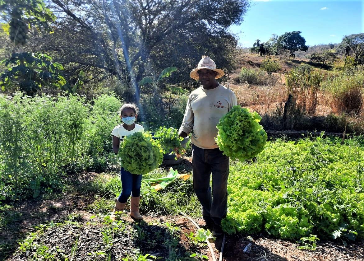 Entrega de kits de irrigação por gotejamento ajuda no uso racional da água em Minas Gerais