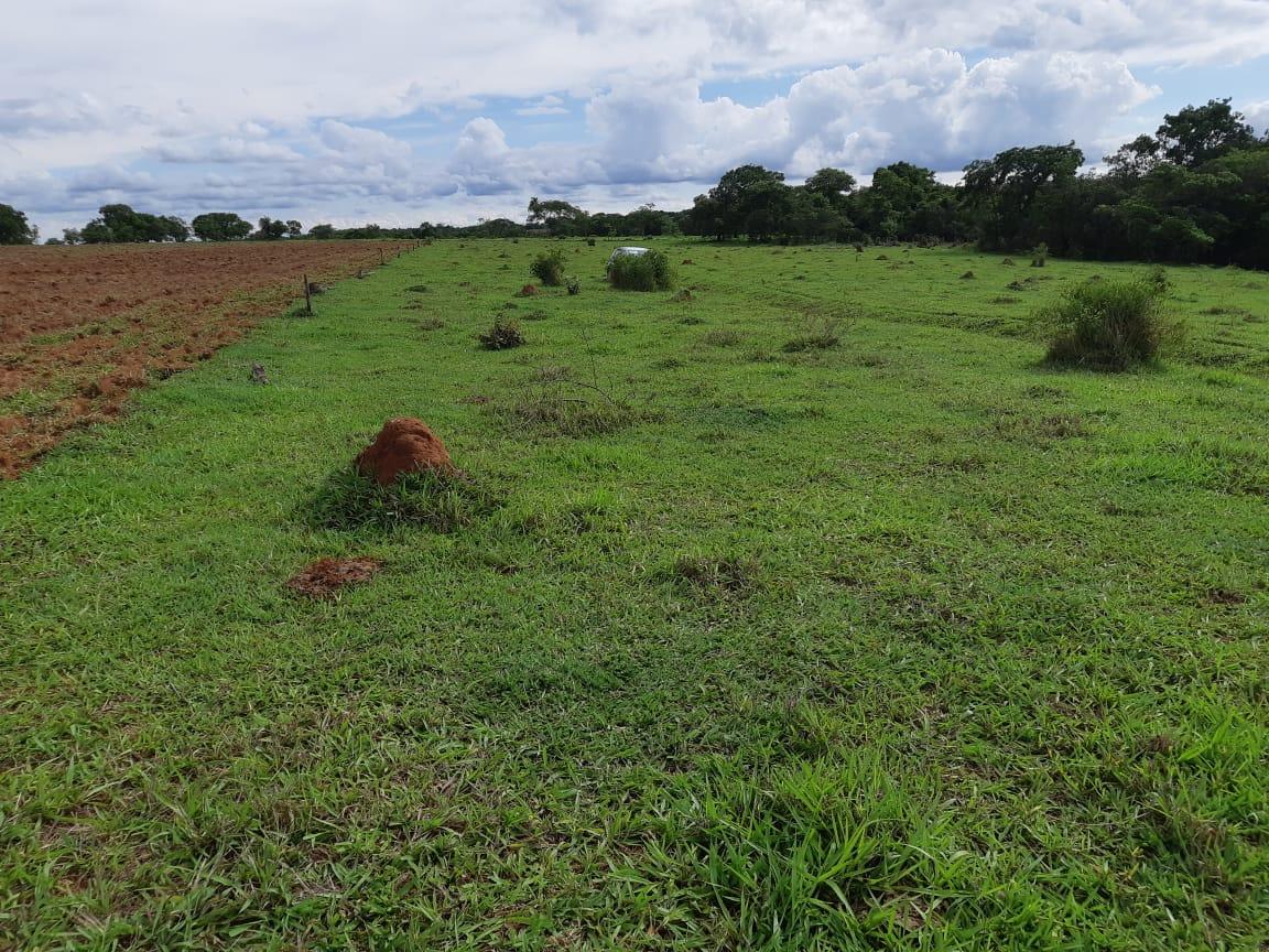 Projeto da Epamig vai medir índices de carbono e água em sistemas integrados de produção