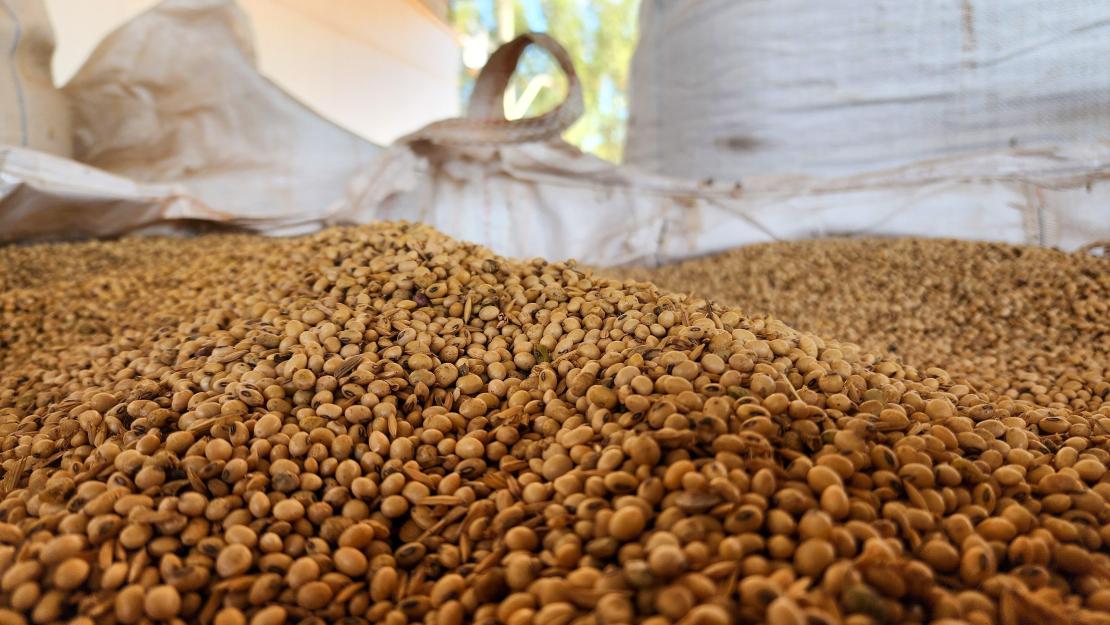 Exportações do agro mineiro atingem melhor resultado da série histórica