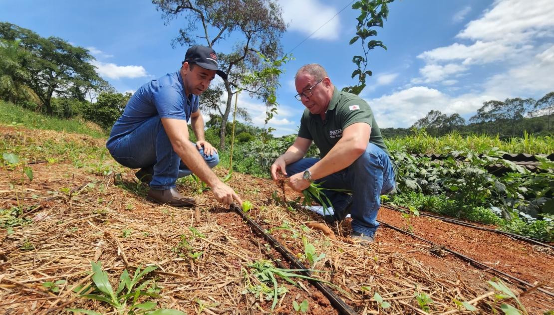 Projeto da Emater cuida da ‘saúde do solo’ de 1,8 mil propriedades rurais de Minas